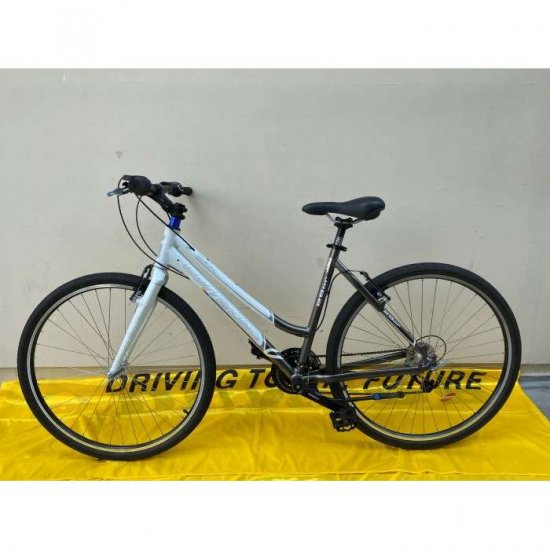 CUSTOM BICYCLE CORRATEC 29ER BASE 28'' SILVER/BLACK - Click Image to Close