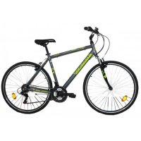 ENERGY SPIRIT BICYCLE MEN 28'' - GRAY / GREEN 2020